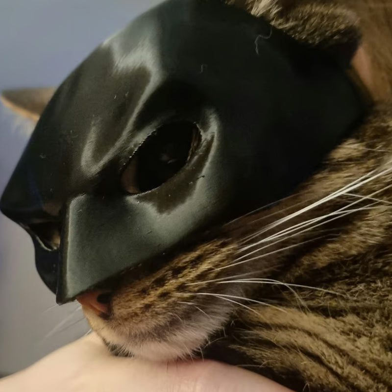 Bat Cat Avenger Mask