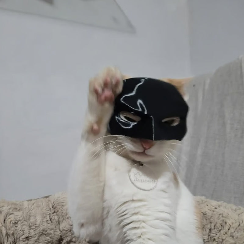 Bat Cat Avenger Mask