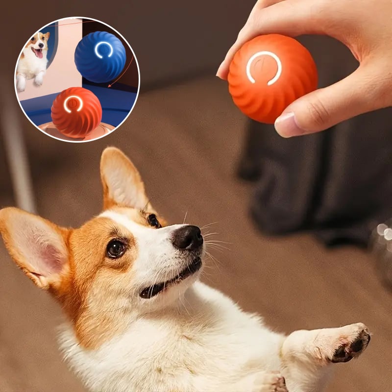 Electric Rolling Pet Toy Ball