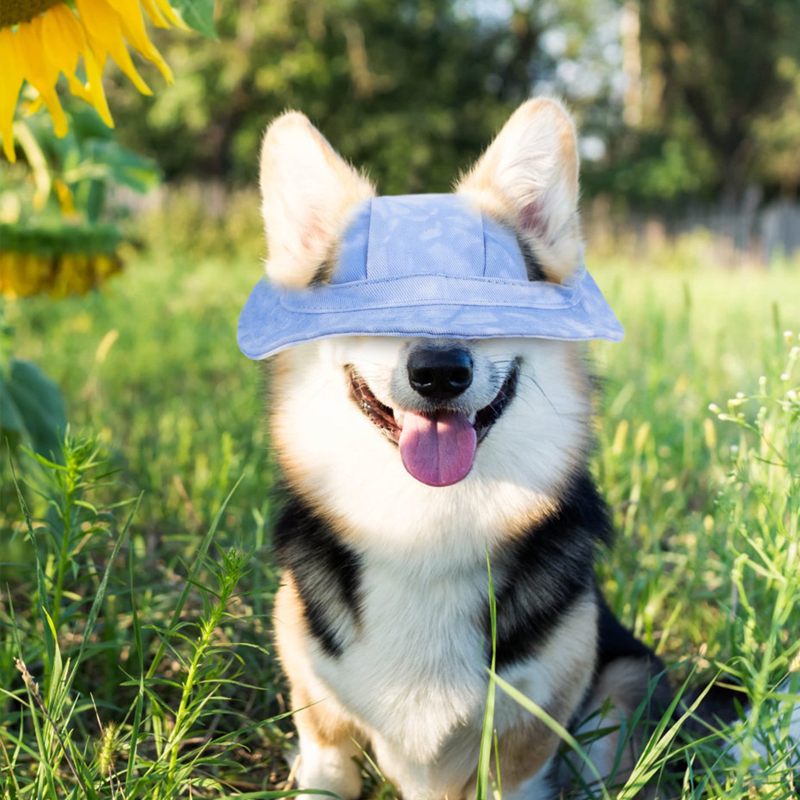 Outdoor Sun Protection Hood for Dogs