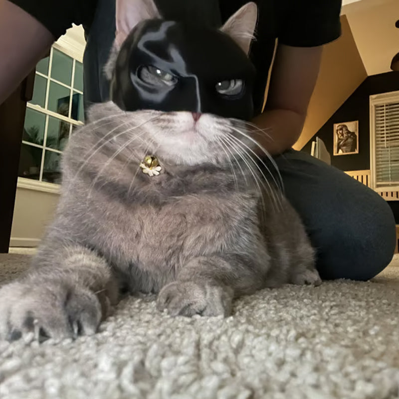 Bat Cat Avenger Mask