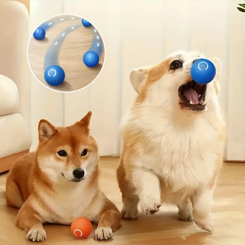 Electric Rolling Pet Toy Ball