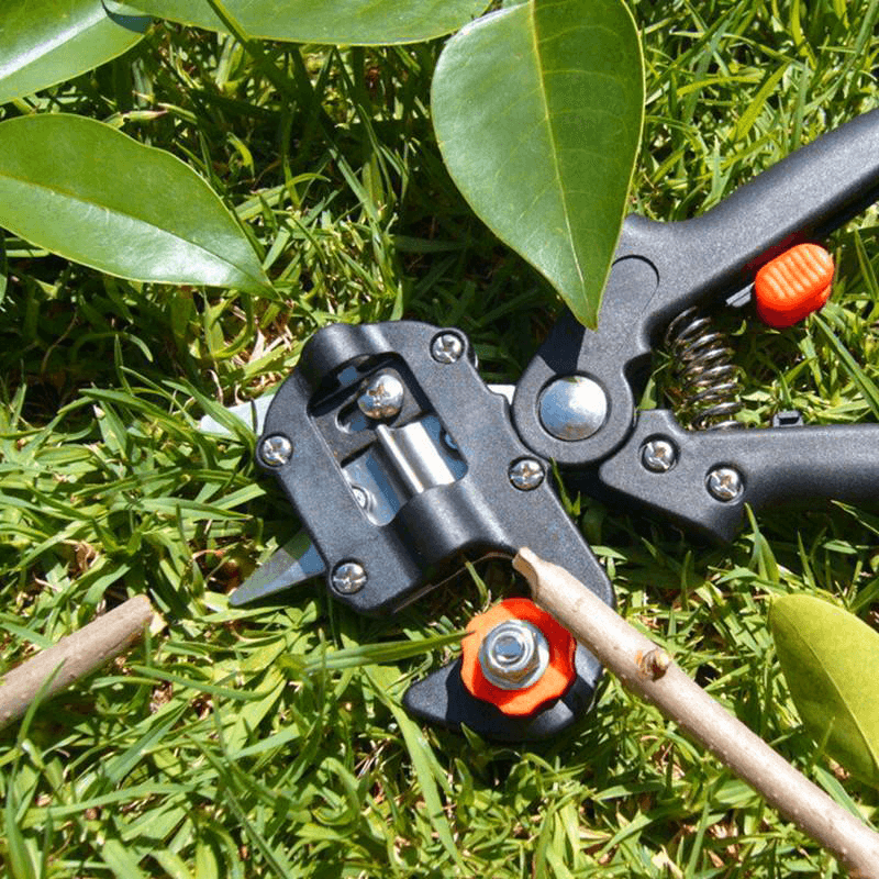 Professional Garden Grafting Tool Kit